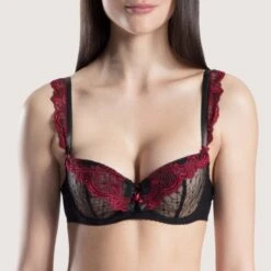 Aubade Passion Nocturne Soutien-gorge Corbeille